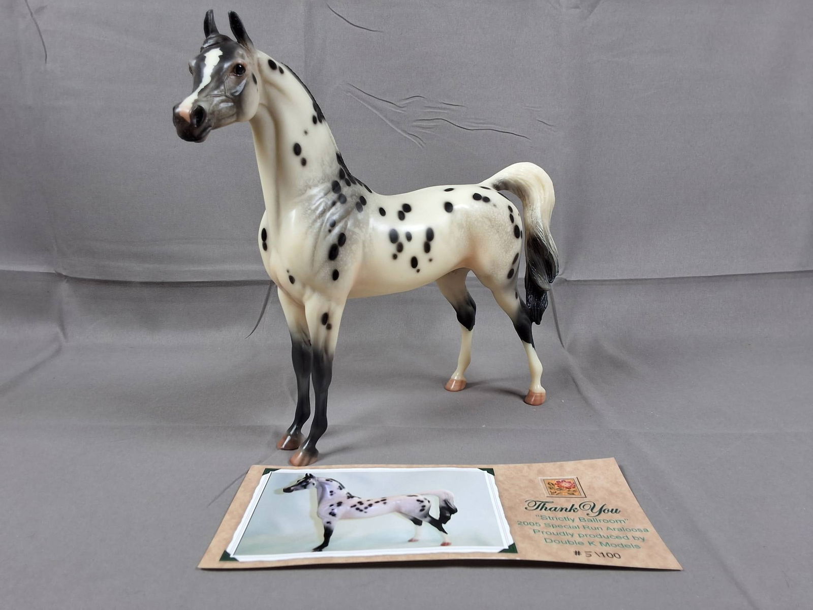 Peter Stone Strictly Ballroom 2005  -  Araloosa MARE MODEL (1 of 11)