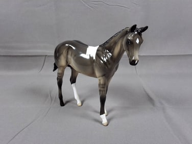 Peter Stone WE21008 Kilobyte 2002 - Dun/Dunskin/Grulla