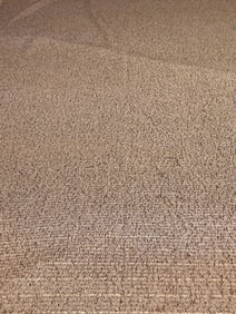Vintage Fabric - Taupe with Gold Threading