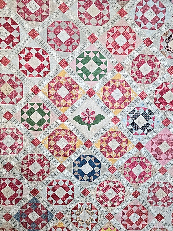 1848 Elizabeth Hooton Album Quilt - NJ and KY