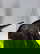 item-209017540=10