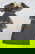item-209017785=13