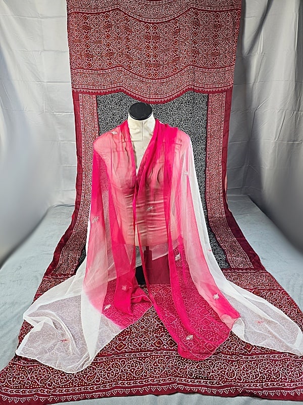 2 Patterned South Asian Sarees - Pink and Red (1 of 13)
