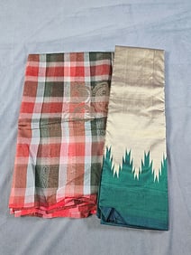 2 Male South Asian Sarees - Green and Plaid
