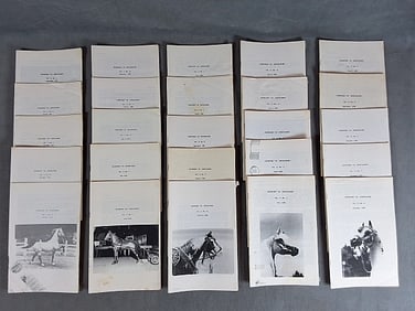 25 Issues of Horse N Around Newsletter