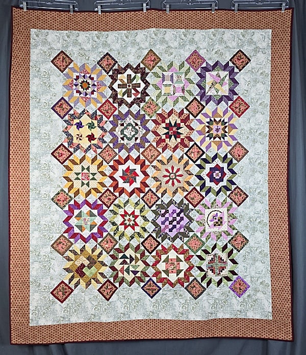 Ellens Journey in Sally Collins Footsteps Quilt (1 of 12)