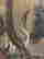 item-98760371=6