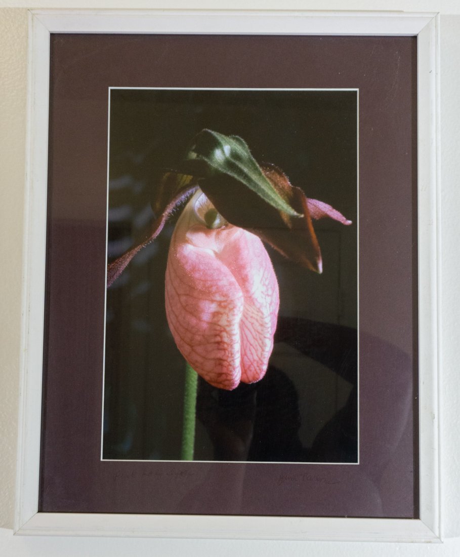 "Pink Lady Slipper" by Photographer Jim Parsons (1 of 4)