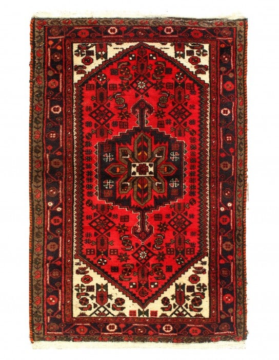Persian Vintage Hamdan Rug -3'4'' x 5' (1 of 3)