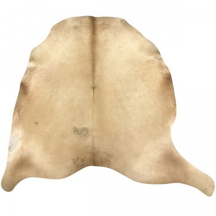 100% Natural Brazilian Cowhide Rug 6'8" x 7'1": 100% Natural Brazilian Cowhide Rug 6'8" x 7'1" - New, Traditional, N/A, Cow hair leather, 300 -D11069- 862.This item is part of our fine auction collection which includes many fine home accessories in