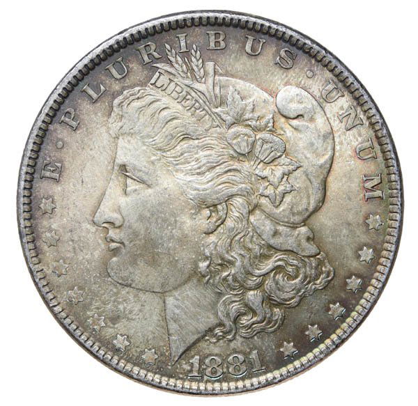 1881 Morgan Dollar (1 of 2)