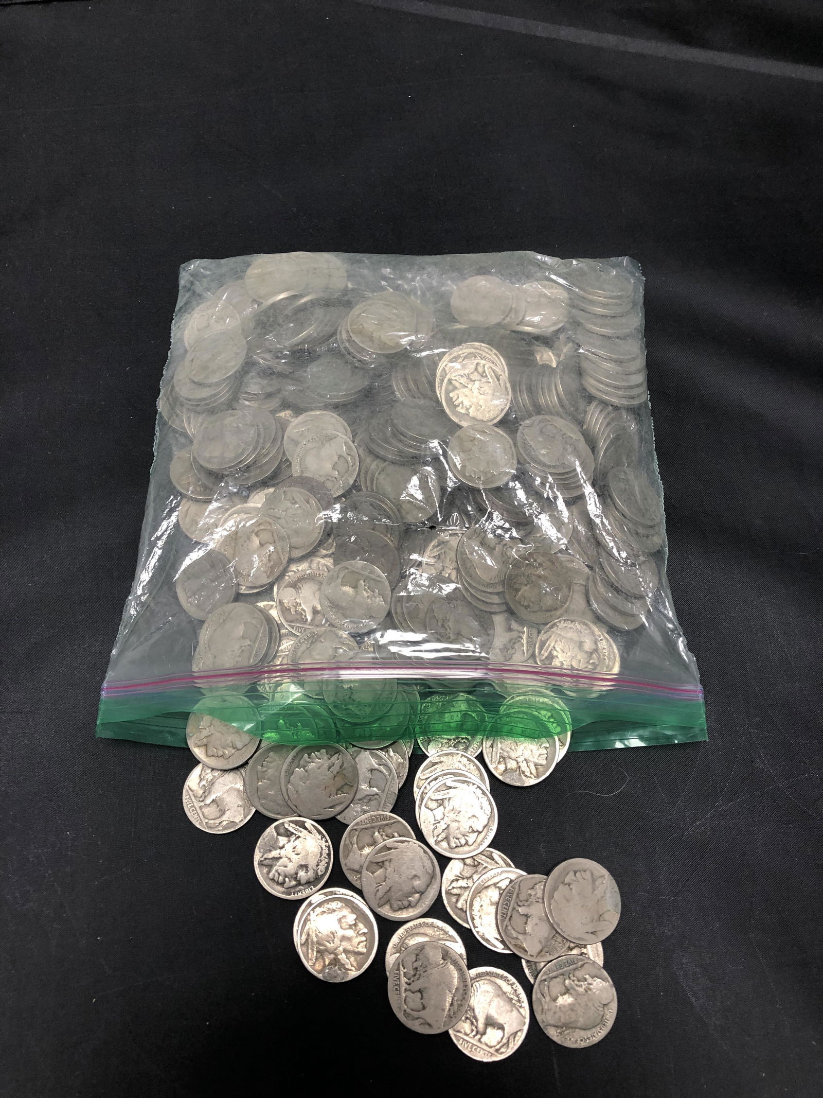 Buffalo Nickel Group (1 of 2)