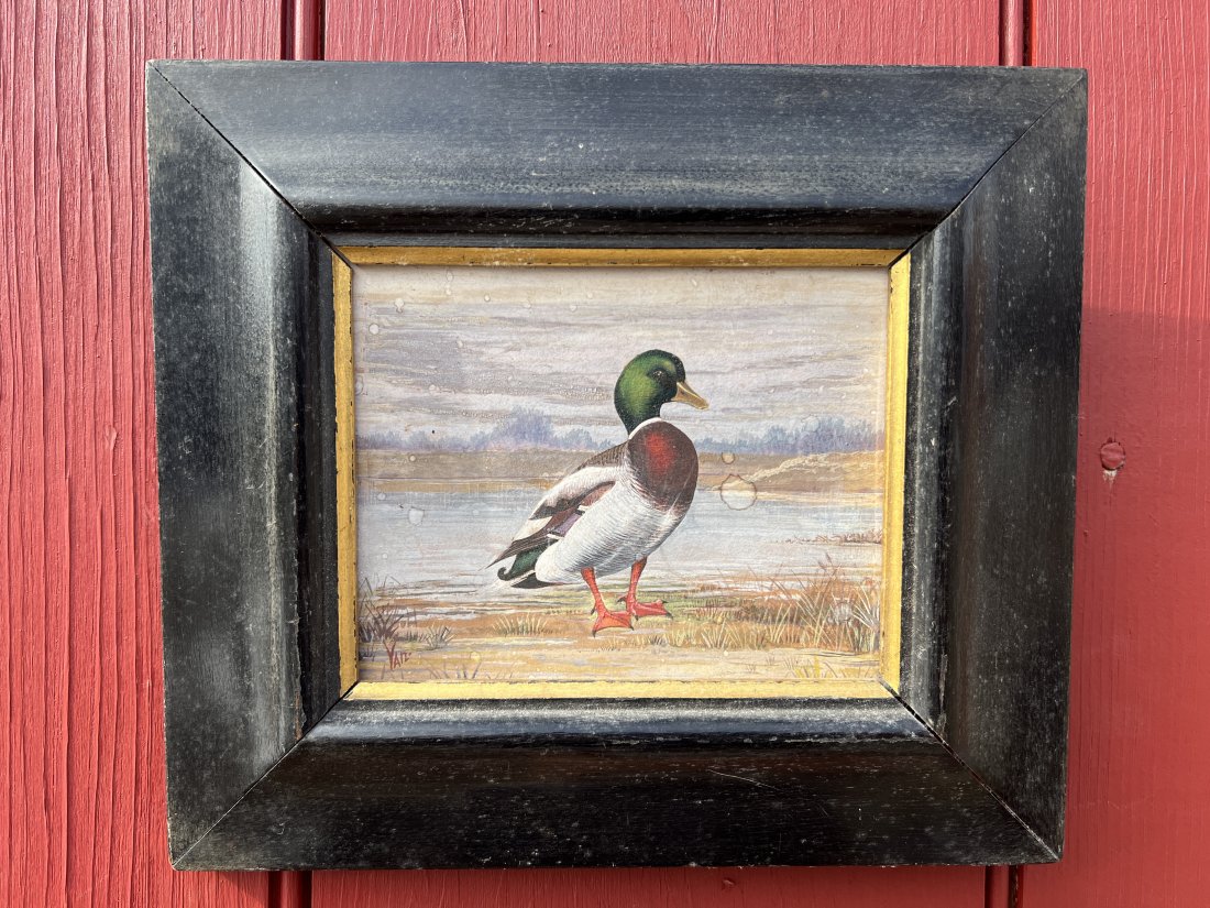 Small Antique Watercolor Painting of a Duck w/ original frame: Excellent detail and colorful painting of a Duck. Sight is 5 by 4 inches and w/ frame is 8 by 7 inches. Should have glass in frame but glass is missing. WHAT'S TO LOVE - Be a nice gift to a Decoy Coll