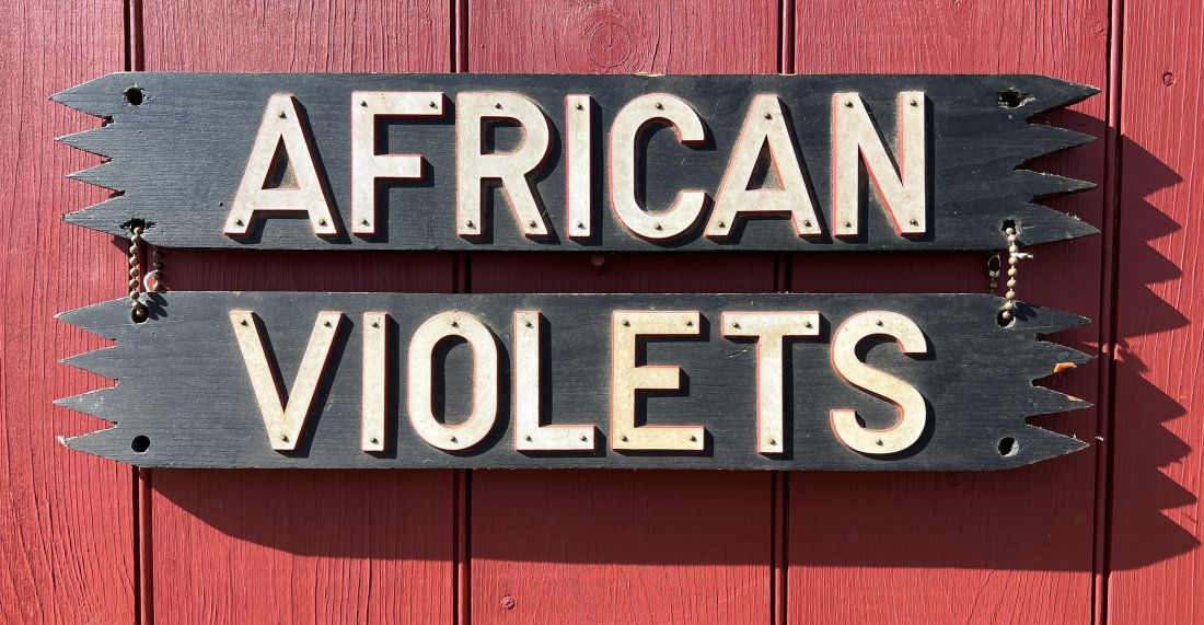 Antique African Violets  Folk Art Farm Advertising Garden Flower Sign (1 of 8)