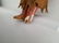Bisque Head Indian Doll, Orig Clothes - 4