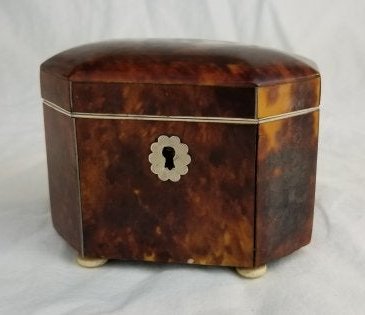 Antique Tortoise Shell Tea Caddy (1 of 10)