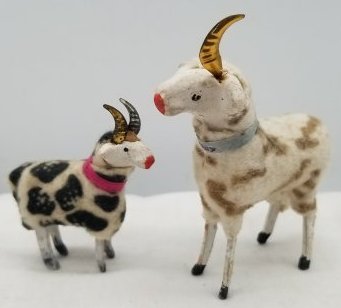 Wooly German Putz Ram Sheep (1 of 3)