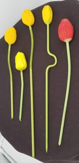 Blown Glass Tulips ~ 1920s Lauscha Germany (1 of 4)