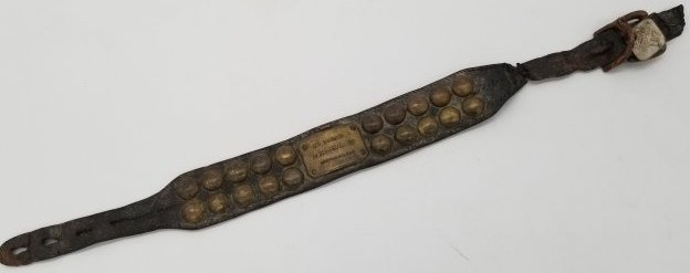 Antique Leather Dog Collar with Brass Studs & Plaque (1 of 4)