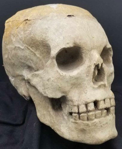 Carved Wood Skull ~ Over Sized ~ Circa 1800 (1 of 13)
