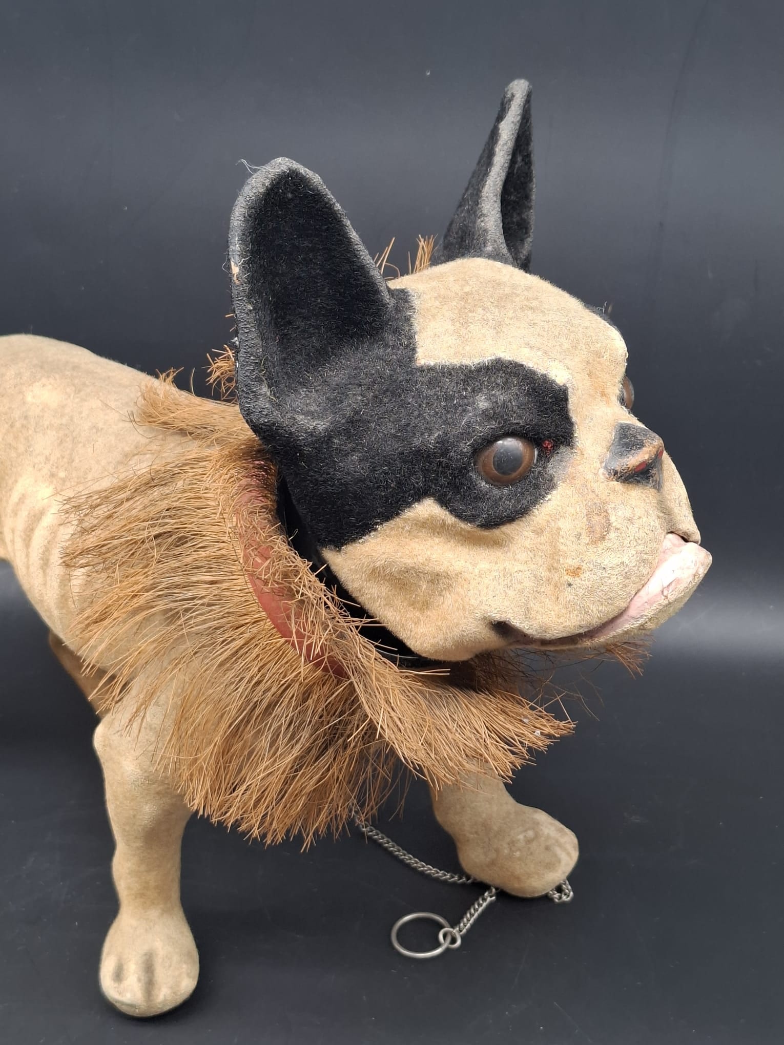 Antique Bulldog Growler Nodder Pull Toy w/ Flocked Surface & Glass Eyes: Wonderful antique bulldog growler pull toy with exceptional character and animation. Mounted on small wheels and retaining its original painted and flocked surface, this charming toy features a noddin