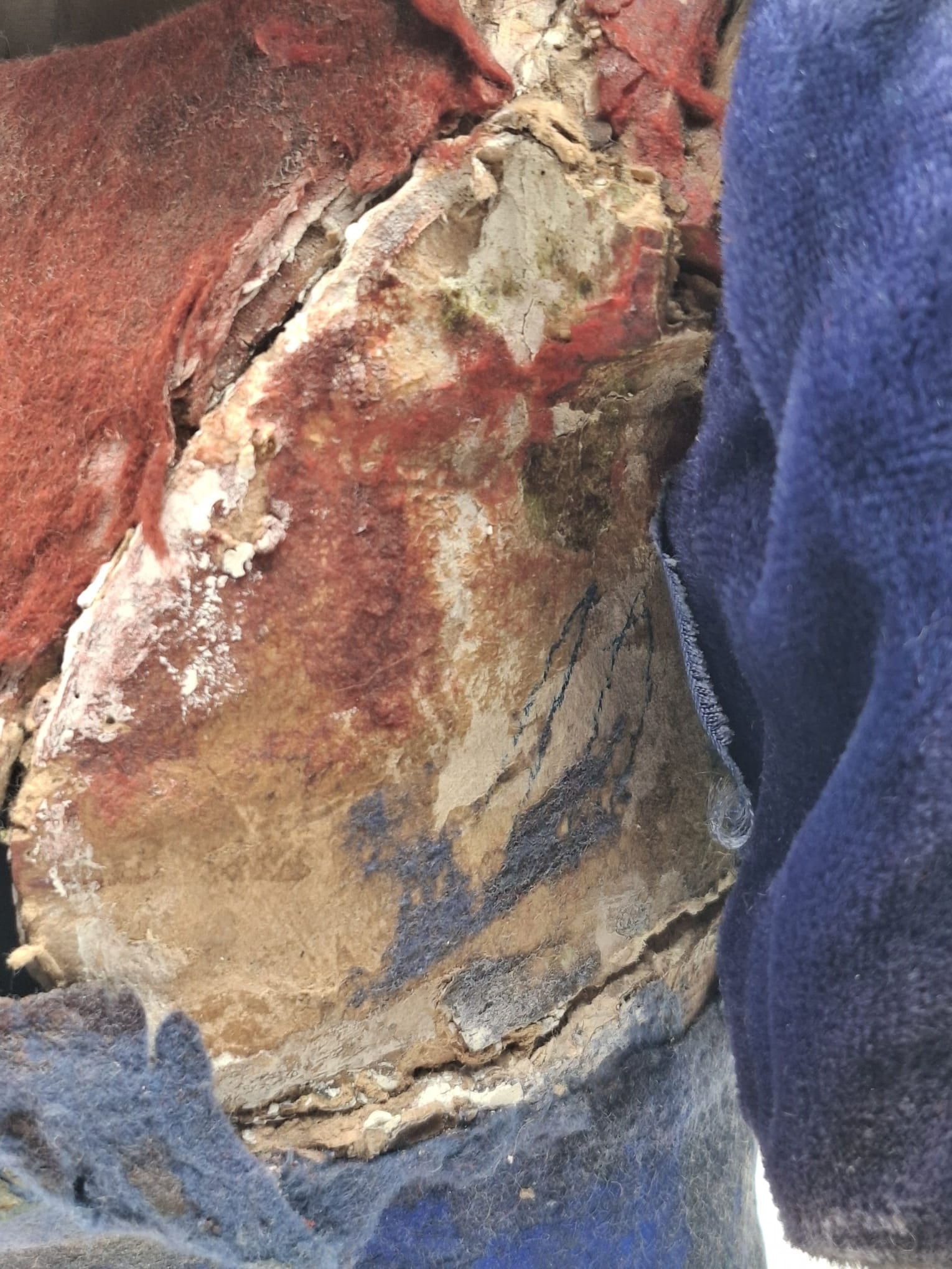 Elf Clockwork Nodder - 10