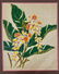 KOA FRAMED HALE PUA DOUBLE MATTED ORIGINAL AIRBRUSH - 4