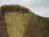 item-85469374=7