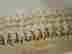 item-88590356=3