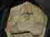 item-98216520=13