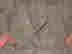 item-98216520=7