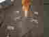 item-106825412=3