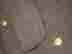 item-124739876=6