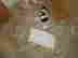 item-124739910=5