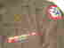 item-132833303=5