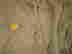 item-135004751=10