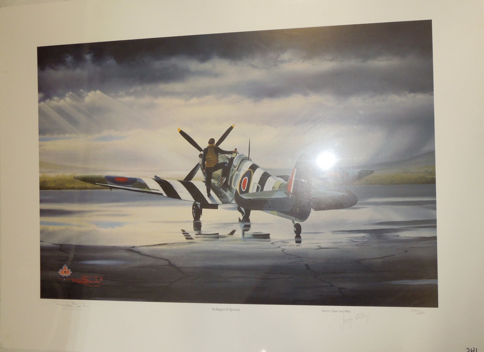 WWII Endangered Species Signed Print Spitfire Pilot Jerry Billing & Artist Suchiu 245/650: WWII Endangered Species Signed Print Spitfire Pilot Jerry Billing & Artist Suchiu. Numbered to 245/650. June 6, 1944, was a day that the world would remember for many lifetimes. The young Jerry Billin