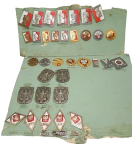WWII - Cold War Polish Poland Military Army Badges & Insignia Lot