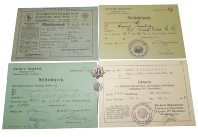 WWII German Reichsluftschutzbund Air Raid RLB Document & Pin Group