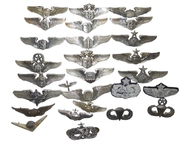 Lot WWII - Modern USAAF & Air Force Wings Pilot Flight Surgeon
