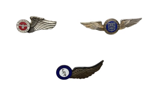 Customs Service, Seaboard & Western, Trans Pacific Airlines Wings Lot (3)