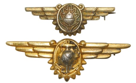 WWII US Navy Shirt Sized Flight Nurse & Surgeon Wings Pins