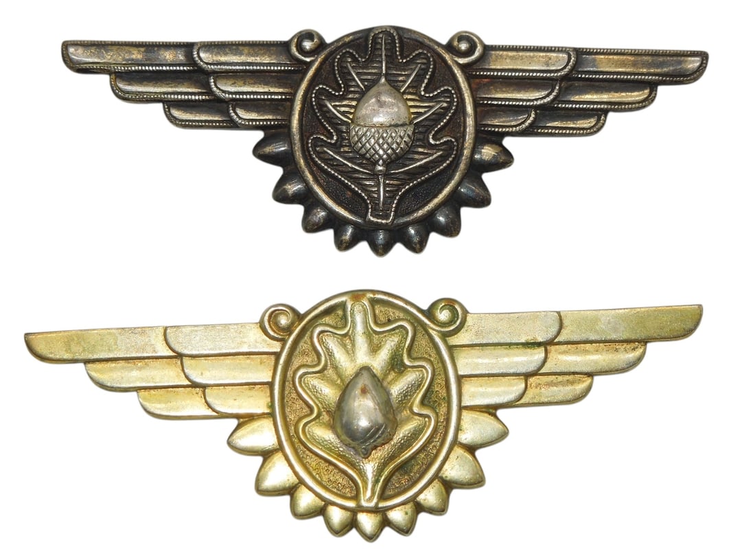 WWII US Navy Full Sized Flight Surgeon Wings Pins Meyer & Vanguard: Two maker marked pins as shown, full sized.
