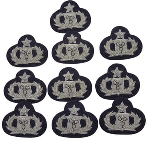 Lot (10) Vietnam War Japanese Made USAF Air Force Bullion Meteorologist Badges