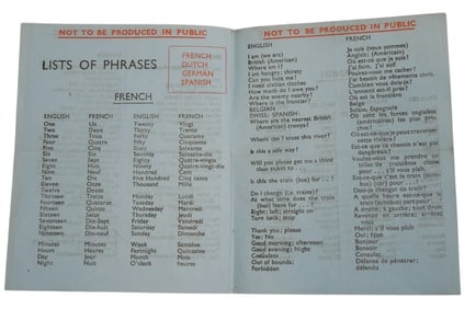 WWII US Army Air Force Europe Escape Blood Chit Language Paper Card