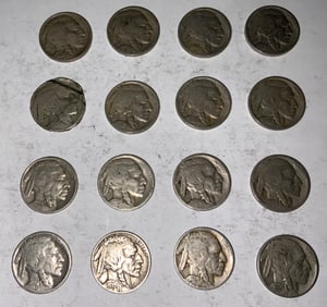 Buffalo Nickel Lot (16) #1