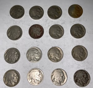Buffalo Nickel Lot (16) #2