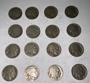 Buffalo Nickel Lot (16) #3