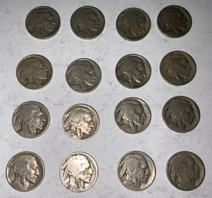 Buffalo Nickel Lot (16) #4