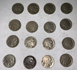 Buffalo Nickel Lot (16) #5
